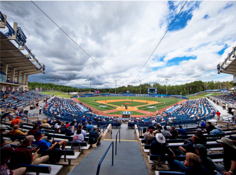 Photo from behind home plate in Hoover Met crowd
